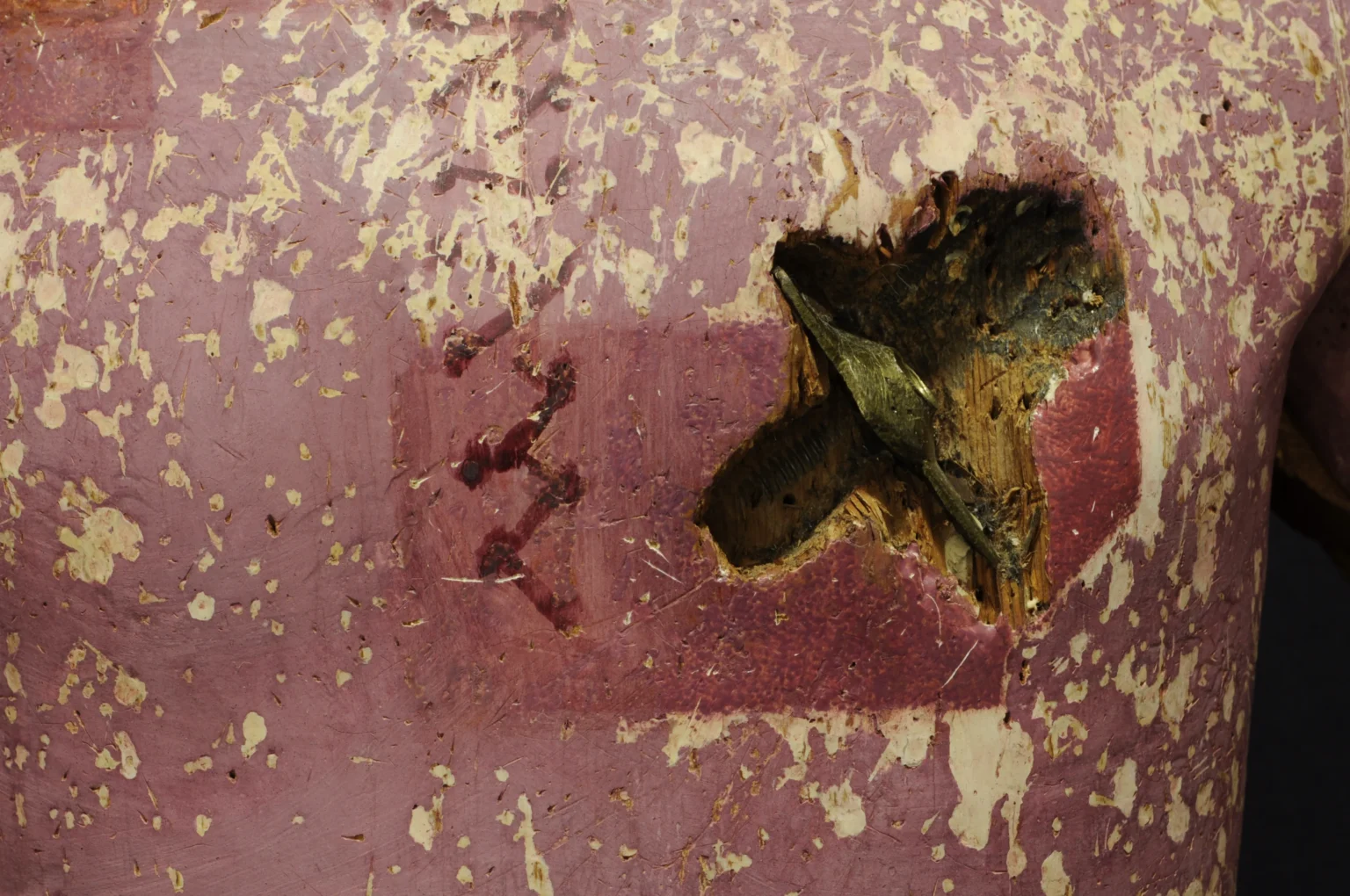 Dsc5212 | CURCUMA SL